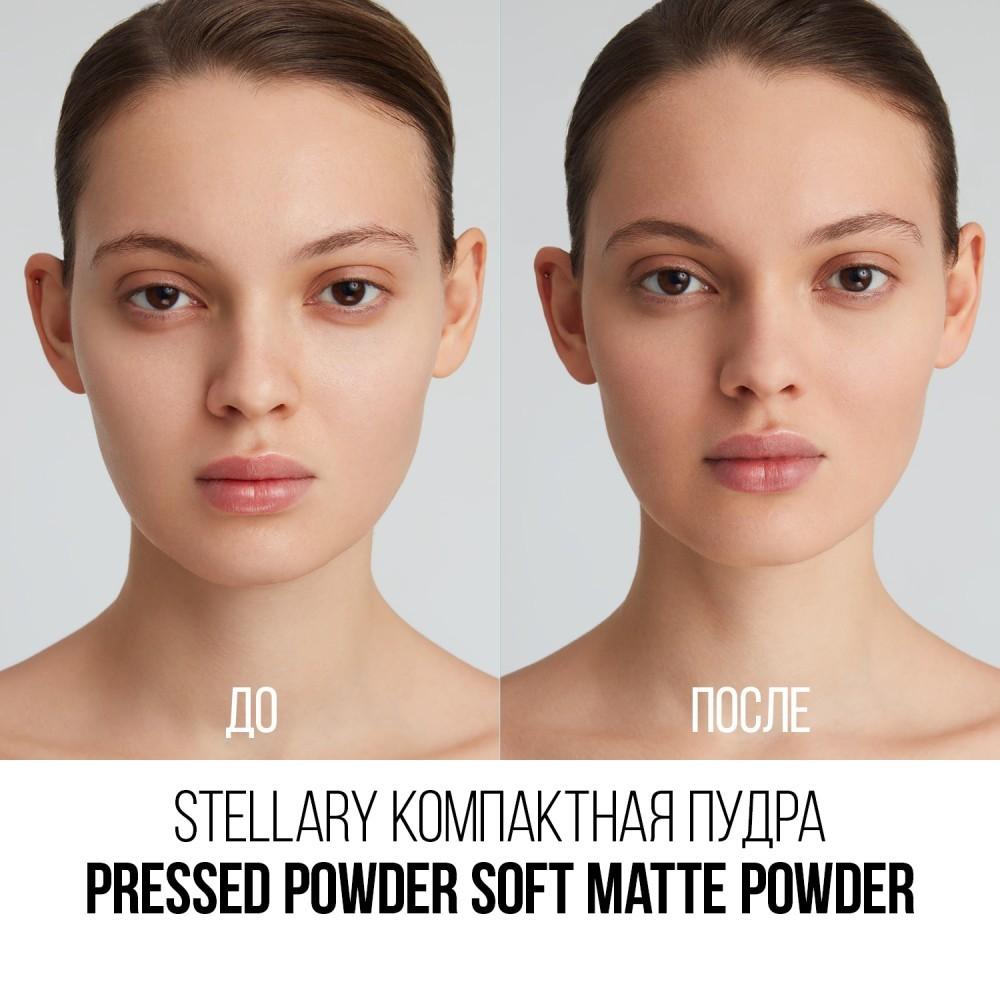 Пудра для лица Stellary Soft Matte Powder SP02 7г. Фото 7.