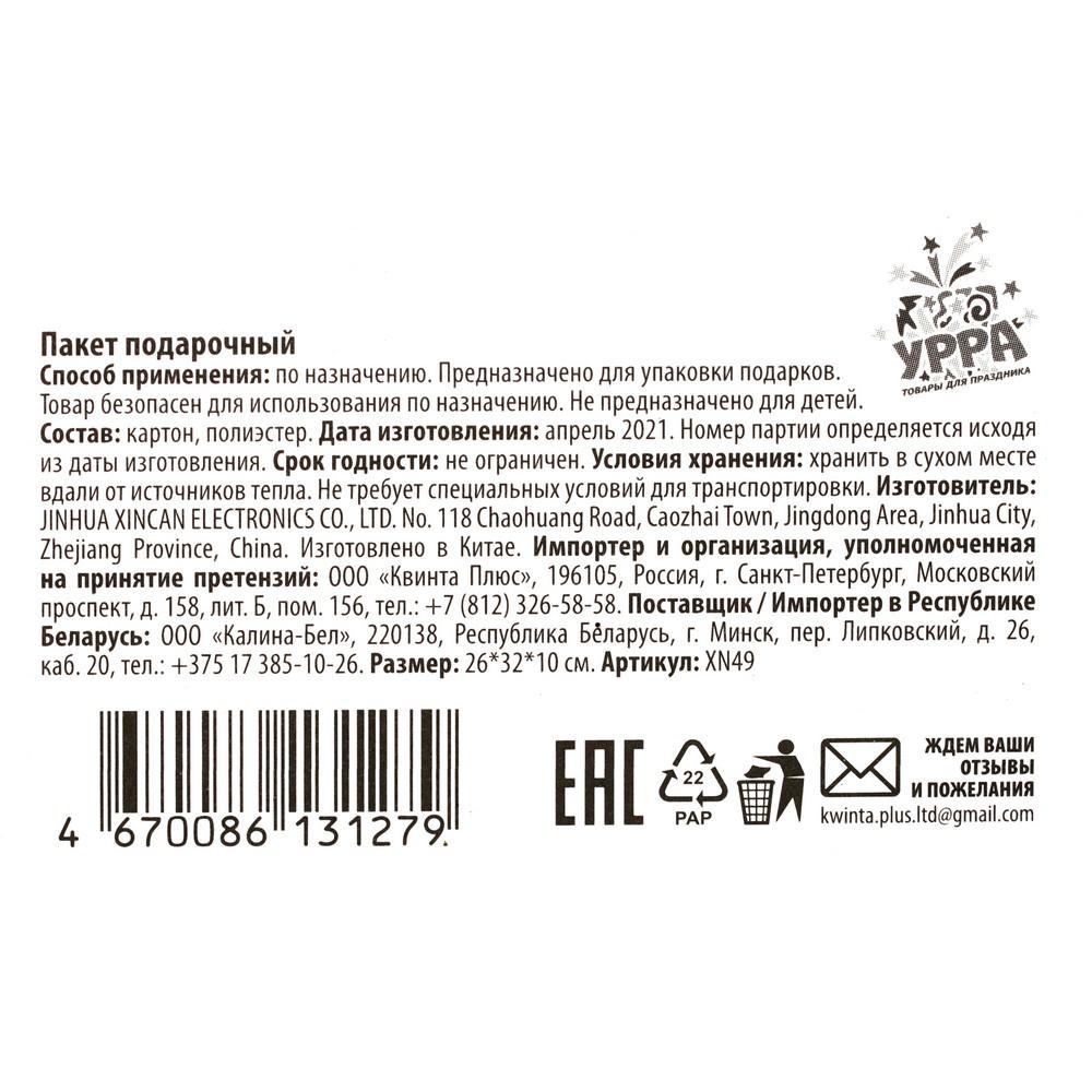 Пакет подарочный УРРА , Зеленый с орнаментом , 26*32*10см. Фото 3.
