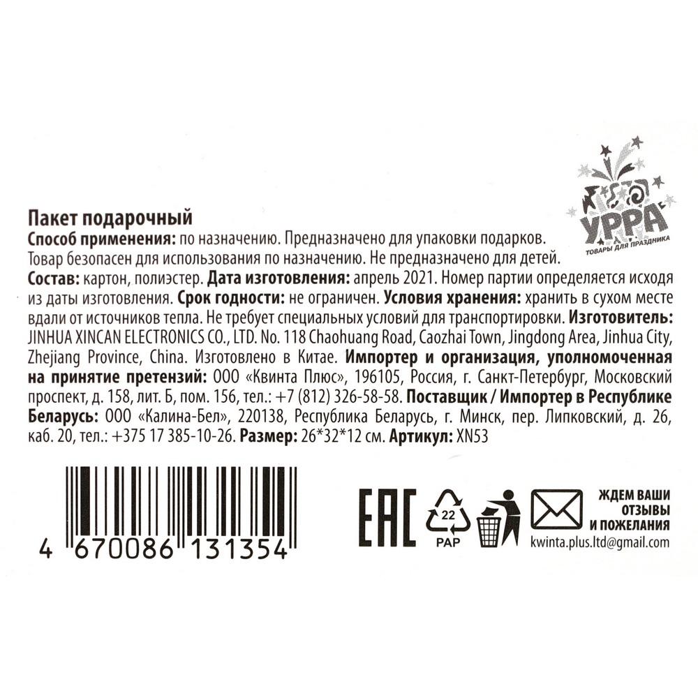 Пакет подарочный УРРА , Бело-голубой с точками , 26*32*12см. Фото 3.