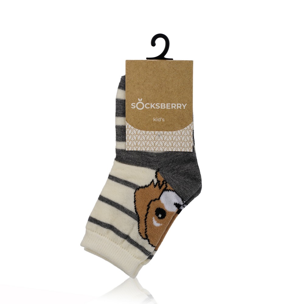 

Детские носки Socksberry KS-0033 " Щенок на молочном " р.14