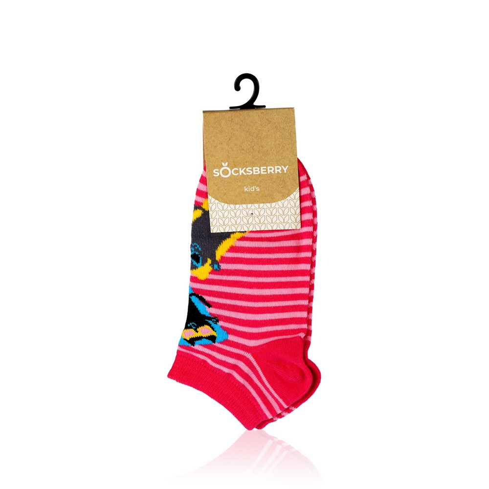 

Детские носки Socksberry Kids KS-0020 , укороченные , " Кот на малиновом " , р.20